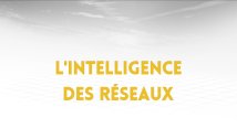 5.3. L'intelligence des réseaux