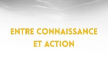5.5. Entre connaissance et action